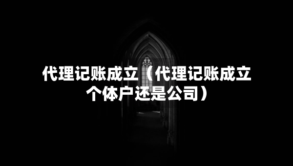 代理記賬成立（代理記賬成立個體戶還是公司）