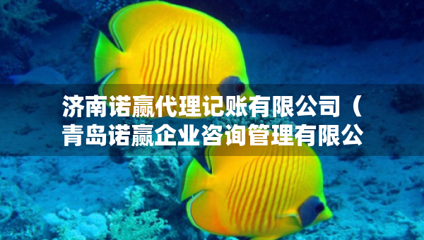 濟南諾贏代理記賬有限公司（青島諾贏企業(yè)咨詢管理有限公司）