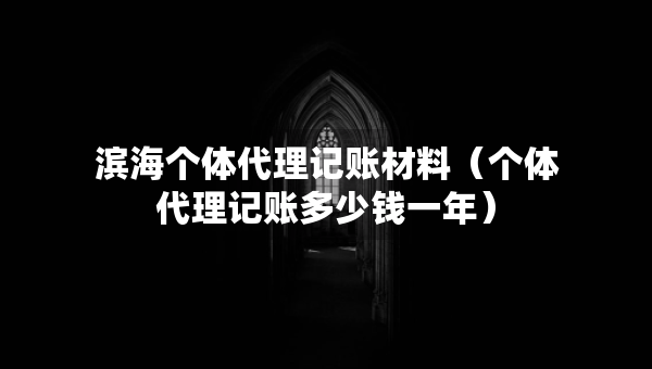 濱海個體代理記賬材料（個體代理記賬多少錢一年）