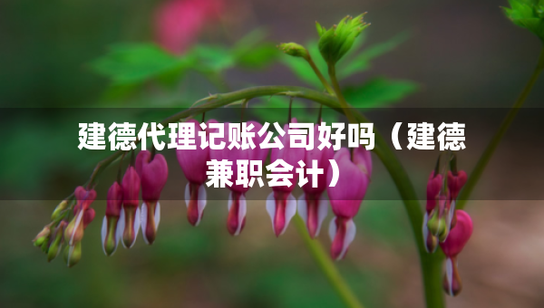 建德代理記賬公司好嗎（建德兼職會(huì)計(jì)）
