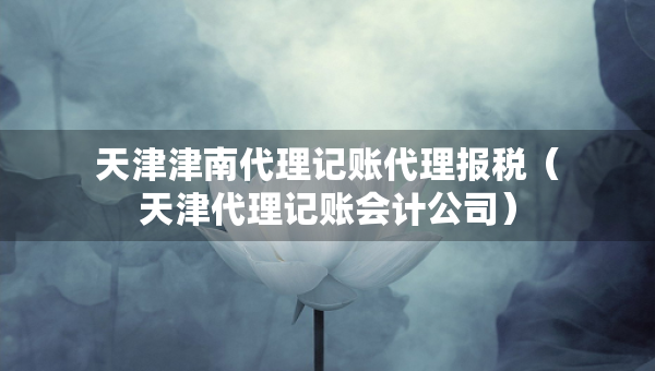 天津津南代理記賬代理報(bào)稅（天津代理記賬會(huì)計(jì)公司）