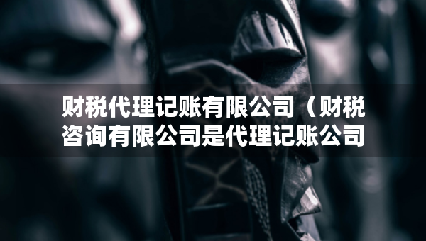 財稅代理記賬有限公司（財稅咨詢有限公司是代理記賬公司嗎）