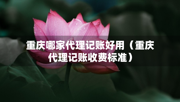 重慶哪家代理記賬好用（重慶代理記賬收費標準）