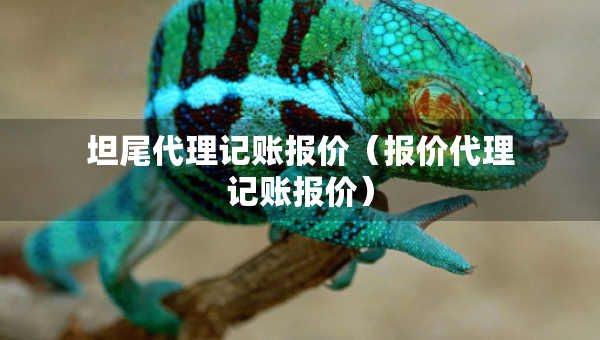 坦尾代理記賬報價（報價代理記賬報價）