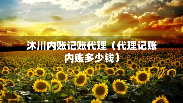 沐川內(nèi)賬記賬代理（代理記賬內(nèi)賬多少錢）