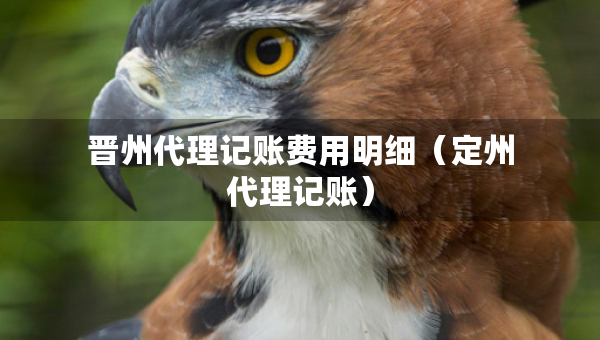 晉州代理記賬費用明細（定州代理記賬）