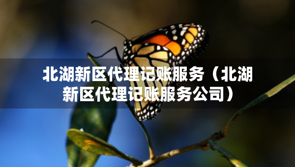 北湖新區(qū)代理記賬服務(wù)（北湖新區(qū)代理記賬服務(wù)公司）