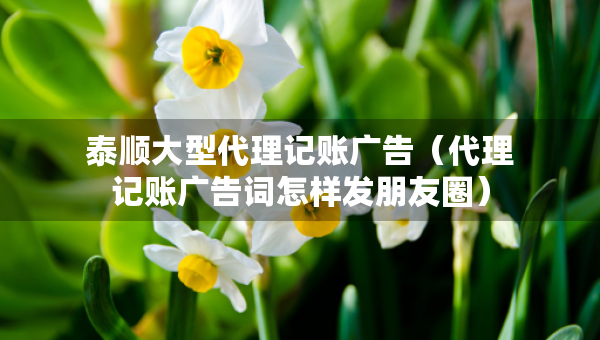 泰順大型代理記賬廣告（代理記賬廣告詞怎樣發(fā)朋友圈）