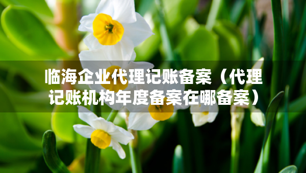 臨海企業(yè)代理記賬備案（代理記賬機(jī)構(gòu)年度備案在哪備案）