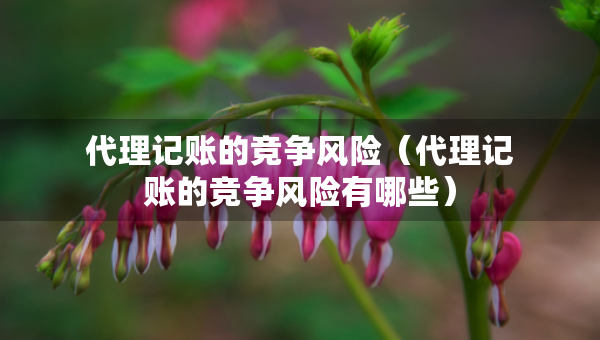 代理記賬的競爭風(fēng)險（代理記賬的競爭風(fēng)險有哪些）