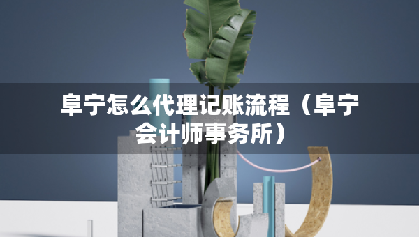 阜寧怎么代理記賬流程（阜寧會(huì)計(jì)師事務(wù)所）