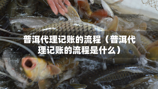 普洱代理記賬的流程（普洱代理記賬的流程是什么）