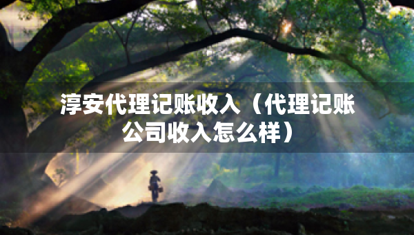 淳安代理記賬收入（代理記賬公司收入怎么樣）