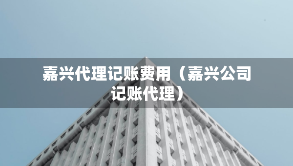 嘉興代理記賬費(fèi)用（嘉興公司記賬代理）