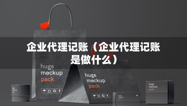 企業(yè)代理記賬（企業(yè)代理記賬是做什么）