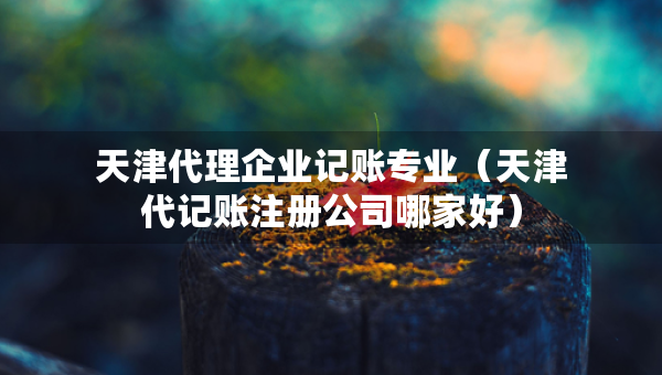 天津代理企業(yè)記賬專業(yè)（天津代記賬注冊公司哪家好）