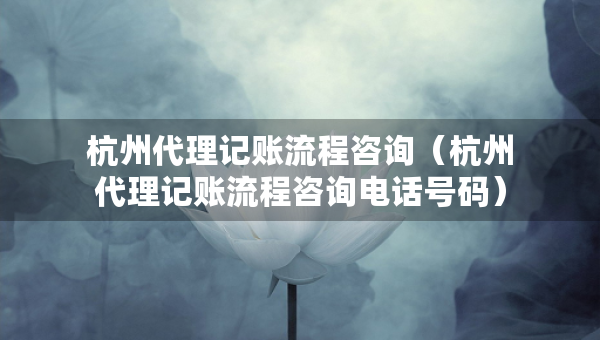 杭州代理記賬流程咨詢（杭州代理記賬流程咨詢電話號碼）
