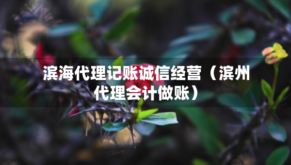 濱海代理記賬誠(chéng)信經(jīng)營(yíng)（濱州代理會(huì)計(jì)做賬）