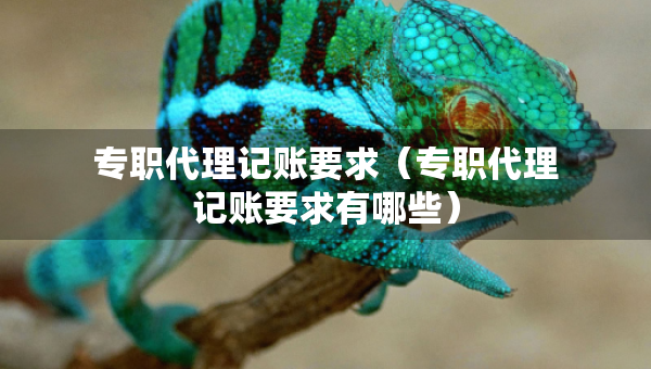 專(zhuān)職代理記賬要求（專(zhuān)職代理記賬要求有哪些）
