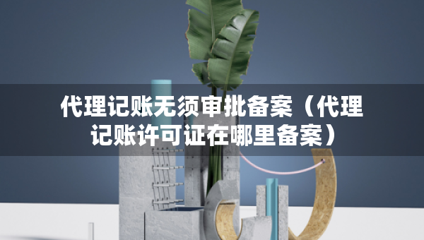 代理記賬無(wú)須審批備案（代理記賬許可證在哪里備案）