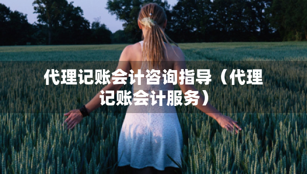 代理記賬會(huì)計(jì)咨詢指導(dǎo)（代理記賬會(huì)計(jì)服務(wù)）