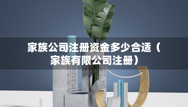 家族公司注冊資金多少合適（家族有限公司注冊）