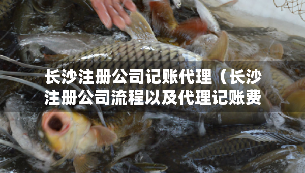 長沙注冊(cè)公司記賬代理（長沙注冊(cè)公司流程以及代理記賬費(fèi)用）
