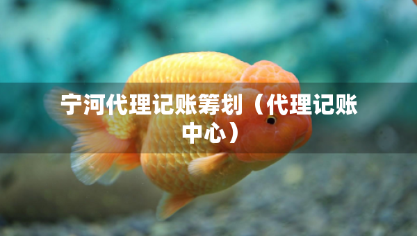 寧河代理記賬籌劃（代理記賬中心）