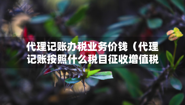代理記賬辦稅業(yè)務(wù)價(jià)錢（代理記賬按照什么稅目征收增值稅）