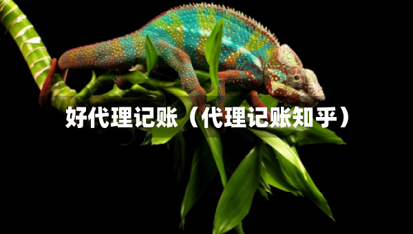 好代理記賬（代理記賬知乎）