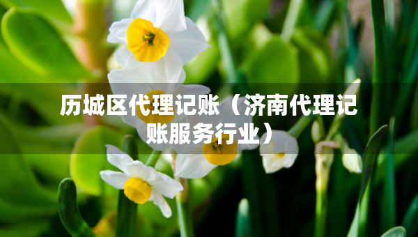 歷城區(qū)代理記賬（濟(jì)南代理記賬服務(wù)行業(yè)）