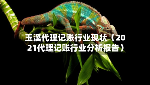 玉溪代理記賬行業(yè)現(xiàn)狀（2021代理記賬行業(yè)分析報(bào)告）