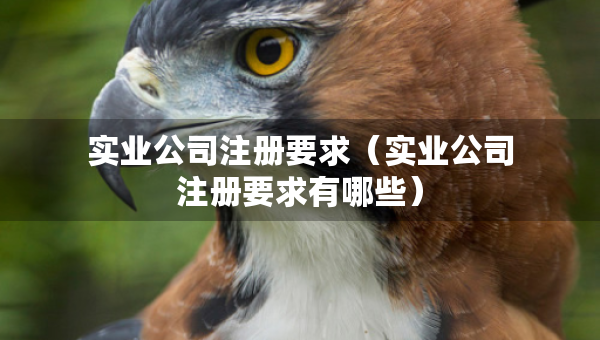實業(yè)公司注冊要求（實業(yè)公司注冊要求有哪些）
