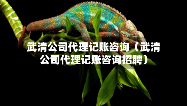 武清公司代理記賬咨詢（武清公司代理記賬咨詢招聘）