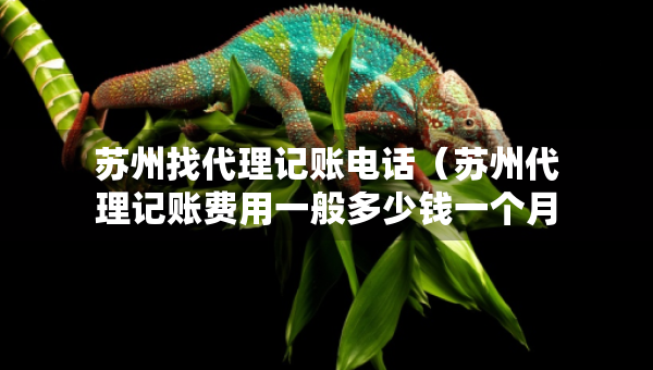 蘇州找代理記賬電話（蘇州代理記賬費(fèi)用一般多少錢(qián)一個(gè)月）