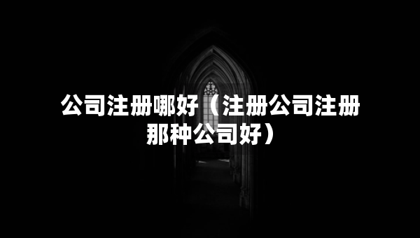 公司注冊(cè)哪好（注冊(cè)公司注冊(cè)那種公司好）