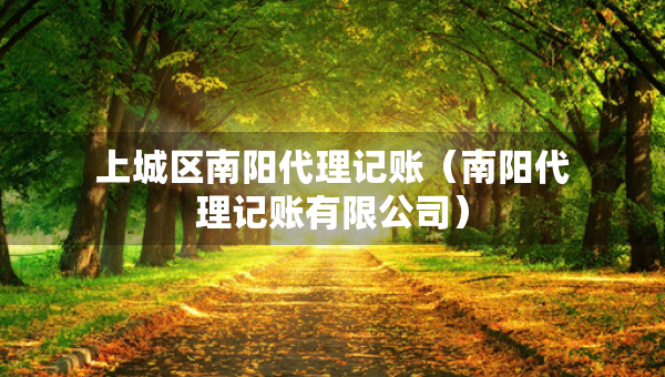 上城區(qū)南陽代理記賬（南陽代理記賬有限公司）
