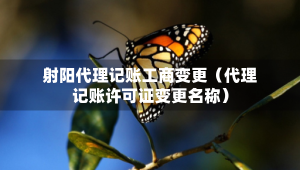 射陽代理記賬工商變更（代理記賬許可證變更名稱）