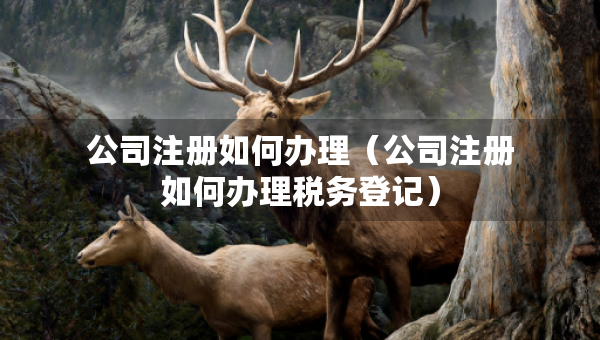 公司注冊如何辦理（公司注冊如何辦理稅務(wù)登記）