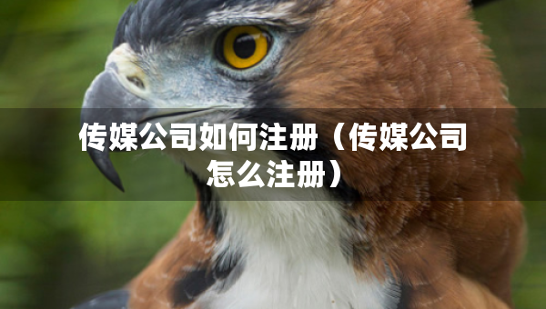 傳媒公司如何注冊(cè)（傳媒公司怎么注冊(cè)）