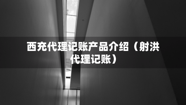 西充代理記賬產(chǎn)品介紹（射洪代理記賬）