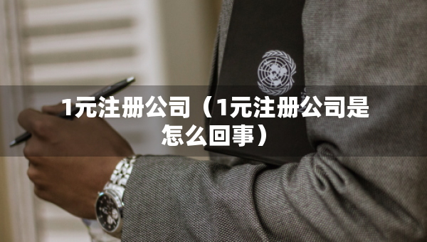 1元注冊公司（1元注冊公司是怎么回事）