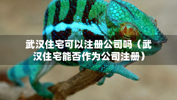 武漢住宅可以注冊(cè)公司嗎（武漢住宅能否作為公司注冊(cè)）