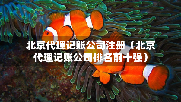 北京代理記賬公司注冊（北京代理記賬公司排名前十強(qiáng)）