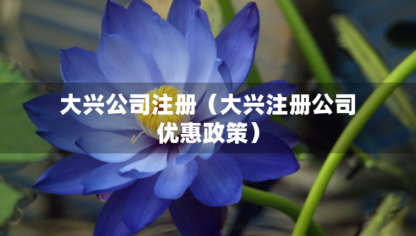 大興公司注冊（大興注冊公司優(yōu)惠政策）