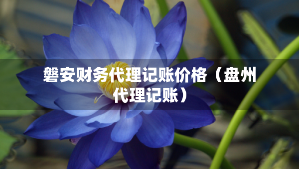 磐安財務代理記賬價格（盤州代理記賬）