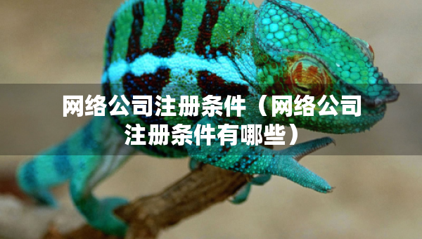 網(wǎng)絡(luò)公司注冊(cè)條件（網(wǎng)絡(luò)公司注冊(cè)條件有哪些）
