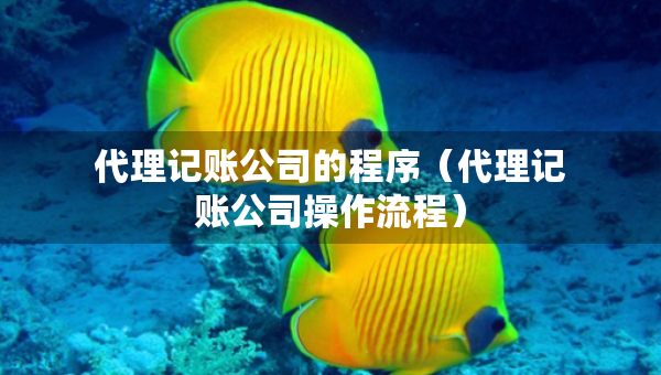 代理記賬公司的程序（代理記賬公司操作流程）