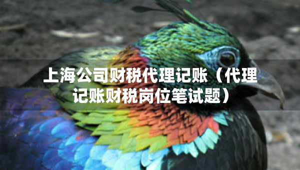 上海公司財稅代理記賬（代理記賬財稅崗位筆試題）