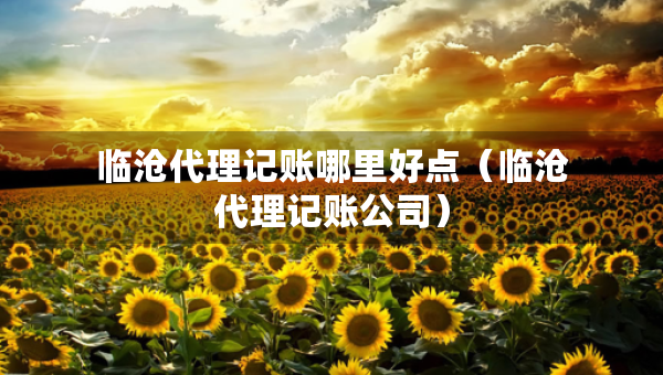 臨滄代理記賬哪里好點（臨滄代理記賬公司）